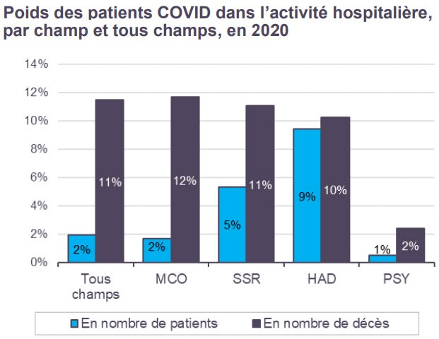 Patients Covid - activité hospitalière par champ